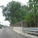 Image Gallery